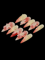 Rafflesia - Long